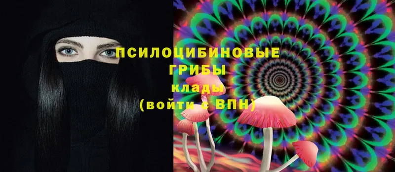 Псилоцибиновые грибы Psilocybe  купить закладку  Валуйки 